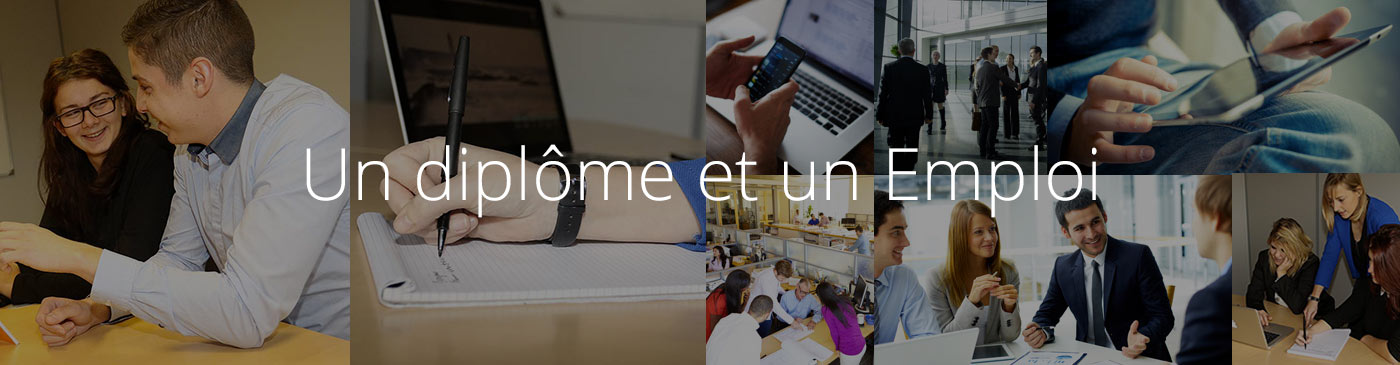 formation diplome emploi la roche-sur-yon